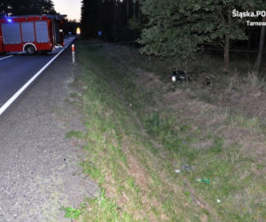 Sarna zabiła dwoje ludzi. Dramatyczny wypadek na DK 11 [ZDJĘCIA]