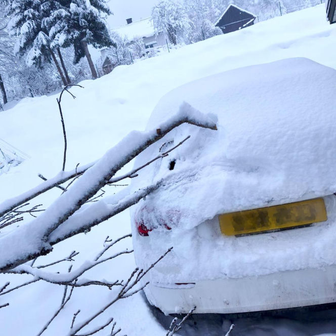 Atak zimy na Podkarpaciu: Tysiące domów bez prądu! Strażacy interweniowali setki razy, śnieg paraliżuje region