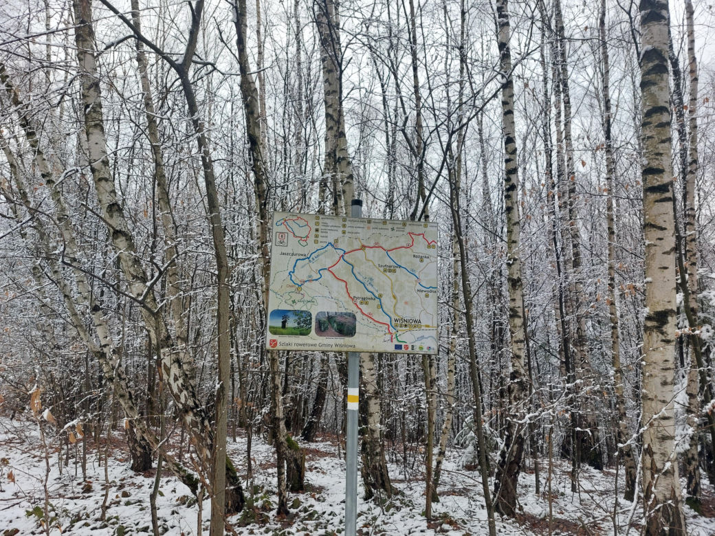 Dudniacz w Szufnarowej