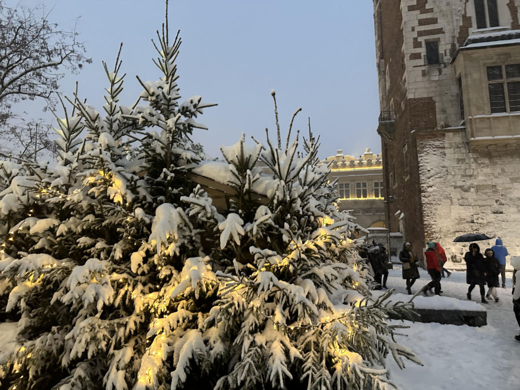 Choinka rozbłysła na Rynku Głównym. Tak wygląda Kraków w zimowej scenerii! 