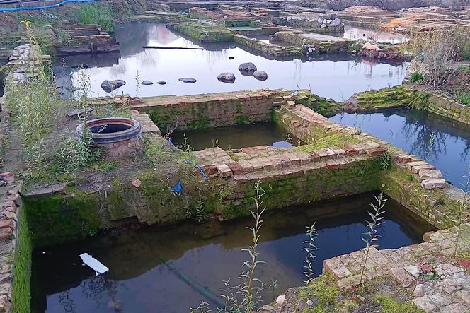 Fundamenty dawnych kamienic przy ul. Św. Floriana