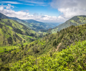 Kolumbia
