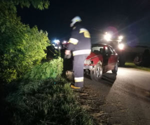 Pies wyskoczył wprost pod koła BMW. Matka z dziećmi zjechała do rowu [ZDJĘCIA]