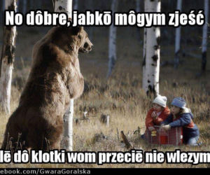 Nie wlezym