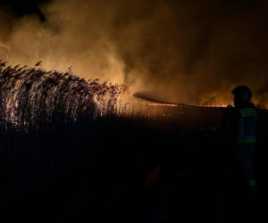 Wielki pożar w Lędzinach na Śląsku! Na miejscu pracowało 52 strażaków [ZDJĘCIA]
