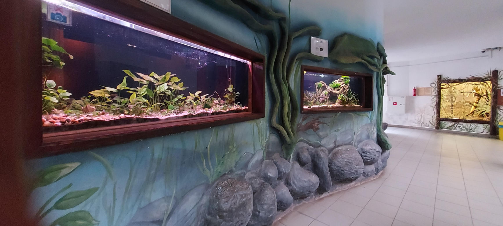 Zoo Zamość