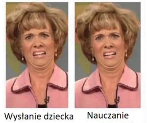 Memy o szkole 2020. Nauka u dobie koronawirusa. Żarty z nowej sytuacji 