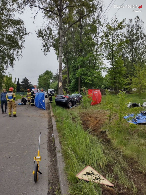 Audi roztrzaskało się o przydrożne drzewo. 19-latek i 21-latek nie żyją