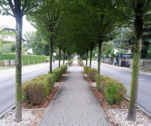 To miasto jest nazywane Perłą Górnego Śląska. Kiedyś leżało w Małopolsce