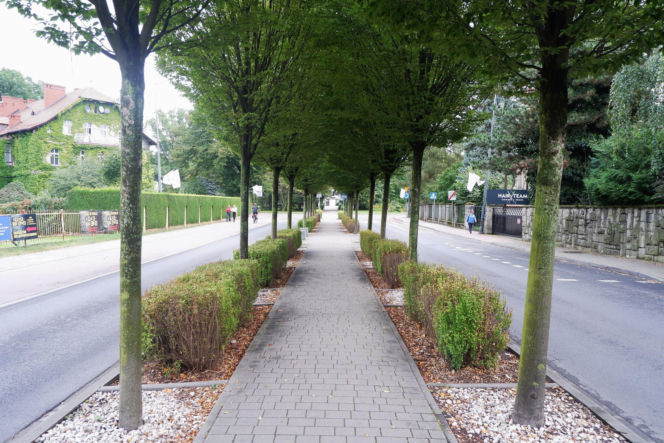 To miasto jest nazywane Perłą Górnego Śląska. Kiedyś leżało w Małopolsce