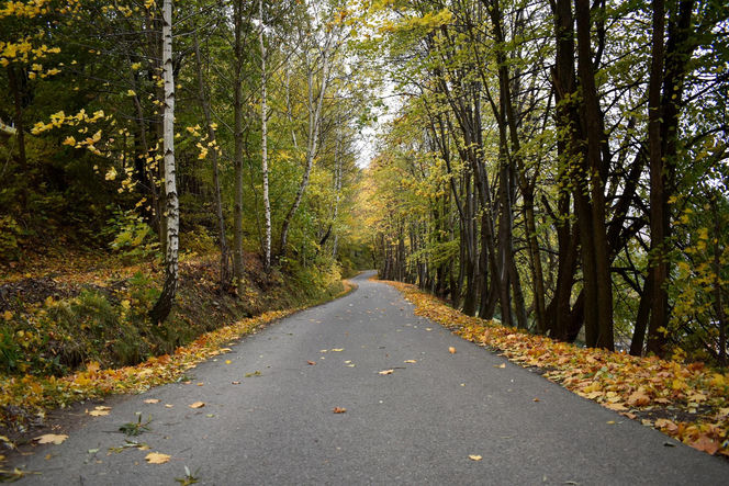 Małopolska wieś, która zachwyciła filmowców. Jesienią można poczuć się jak na planie