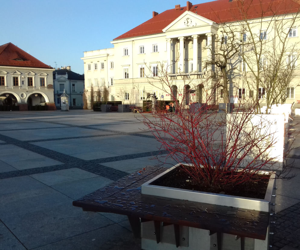 UM Kielce