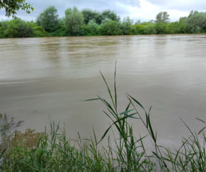 Wysoki Dunajec pod Tarnowem! Biała przy Azotach też przybiera