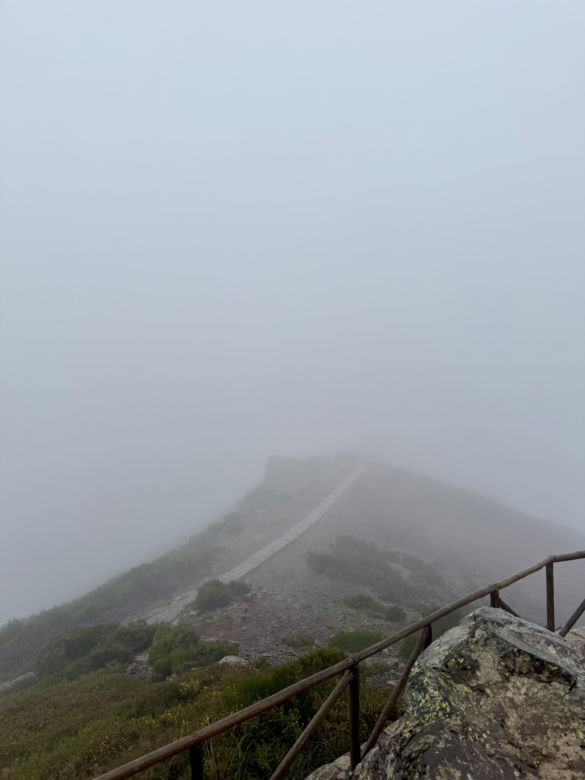 Pico do Arieiro we mgle