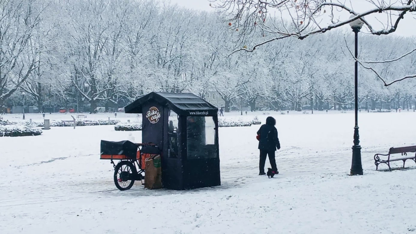 Pierwszy śnieg w Szczecinie