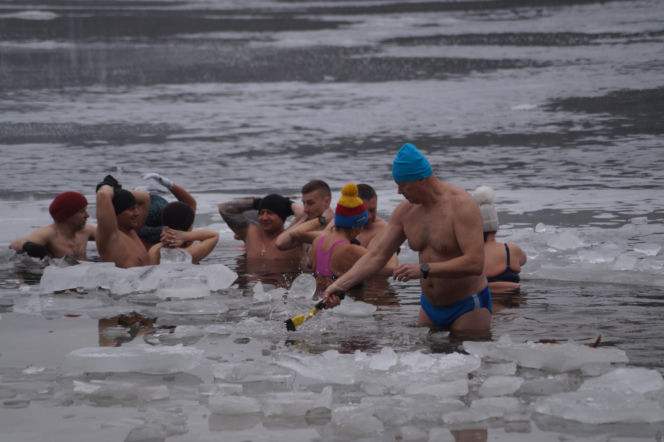 Lodowata woda, gorące emocje. Morsy znów opanowały jezioro pod Bydgoszczą