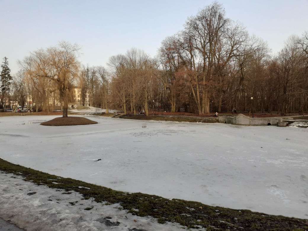 Siedleckie szkoły przy ul. Konarskiego i Prusa i ich okolica w lutym 2021 roku