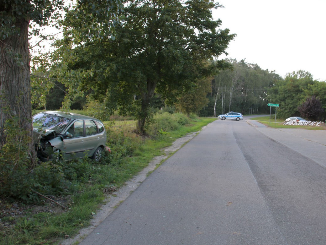 Kujawsko-Pomorskie: Kompletnie pijana matka wiozła dwoje dzieci. Trafiły do szpitala