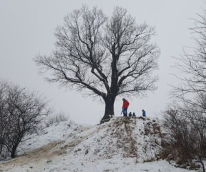Zima na Górkach Fordońskich