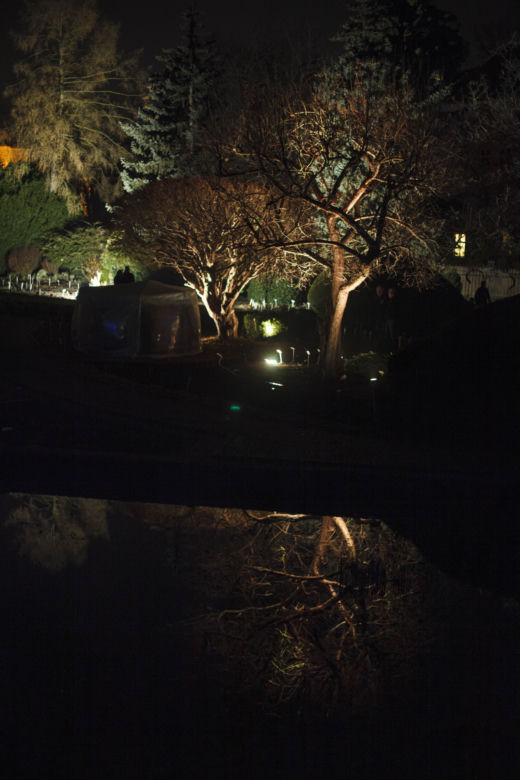 Lasery, muzyka i kolorowe iluminacje w Ogrodzie Botanicznym we Wrocławiu