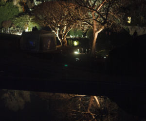 Lasery, muzyka i kolorowe iluminacje w Ogrodzie Botanicznym we Wrocławiu