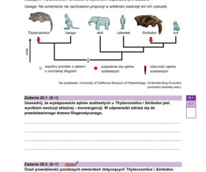 Matura 2026: biologia ROZSZERZONA 8.05.2026r. Arkusze CKE, poziom podstawowy [Formuła 2023]