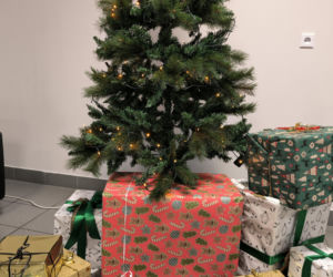 Paczki z II LO w Lesznie