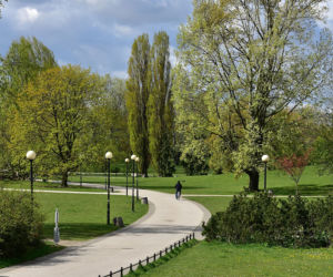 Pieczona kiełbaska bez mandatu. Gdzie rozpalić ognisko lub grilla w Warszawie? [PRZEGLĄD MIEJSC]