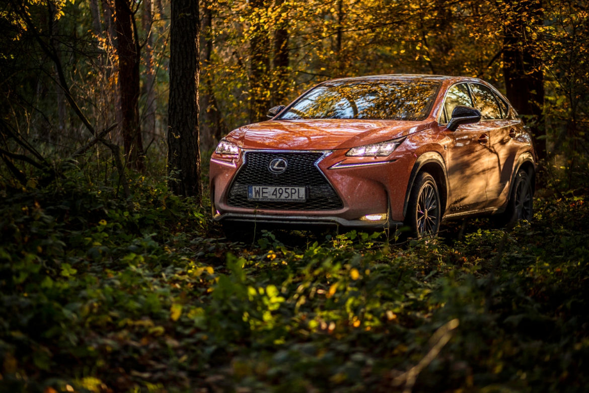 Lexus Driving Emotions 2017