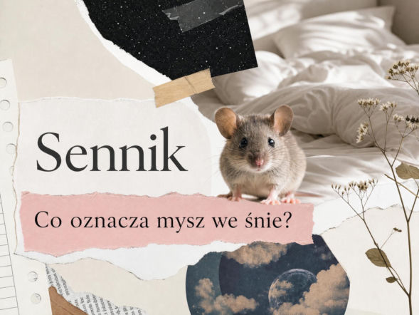 Mysz we śnie: znaczenie snu. Jak rozumieć ten symbol?