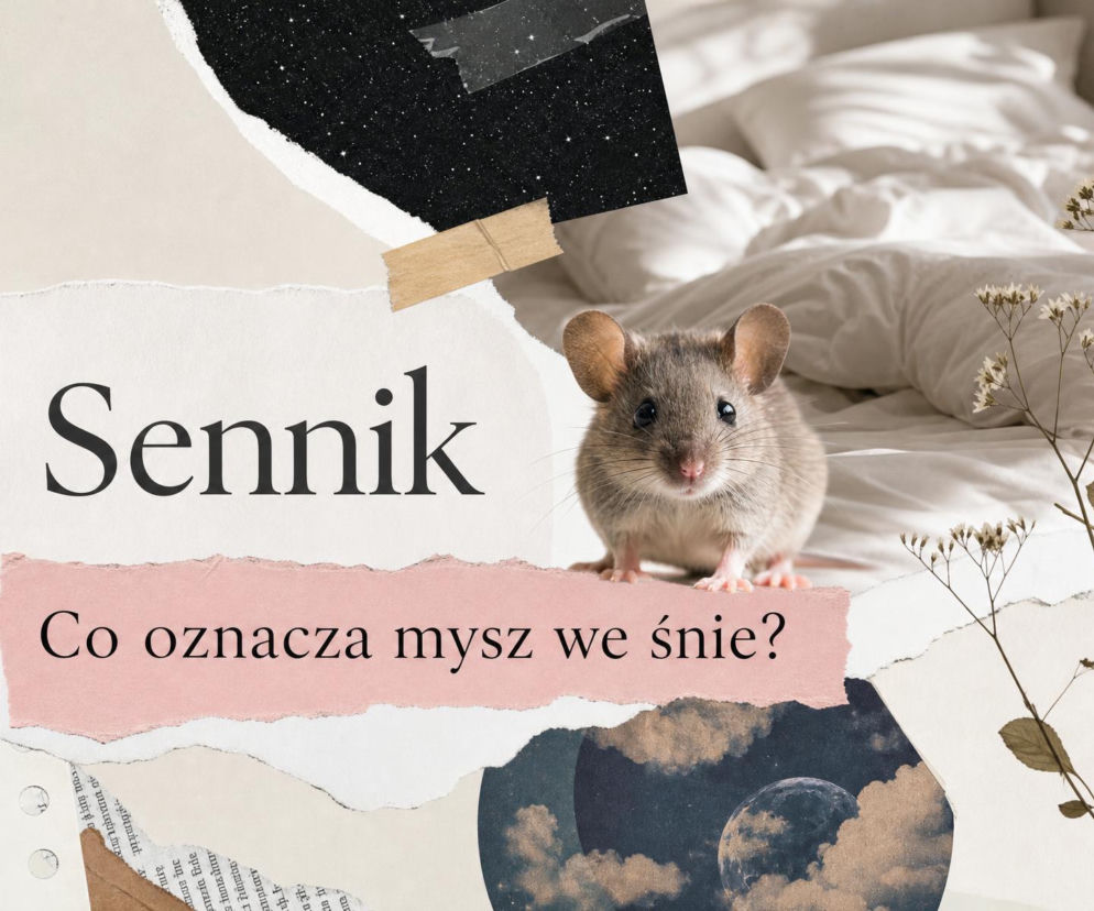 Mała mysz na białej pościeli. Obok napis Sennik. Co oznacza mysz we śnie? O symbolice snu przeczytasz na SE.