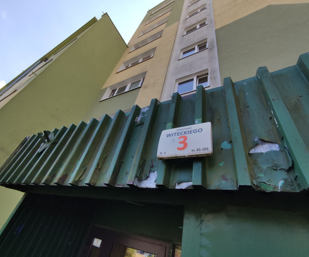 Karaluchy straszą mieszkańców bloku przy ulicy Witeckiego 3 w Bydgoszczy 