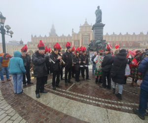 34. finał WOŚP w Krakowie. Golden Retrievery na Rynku Głównym