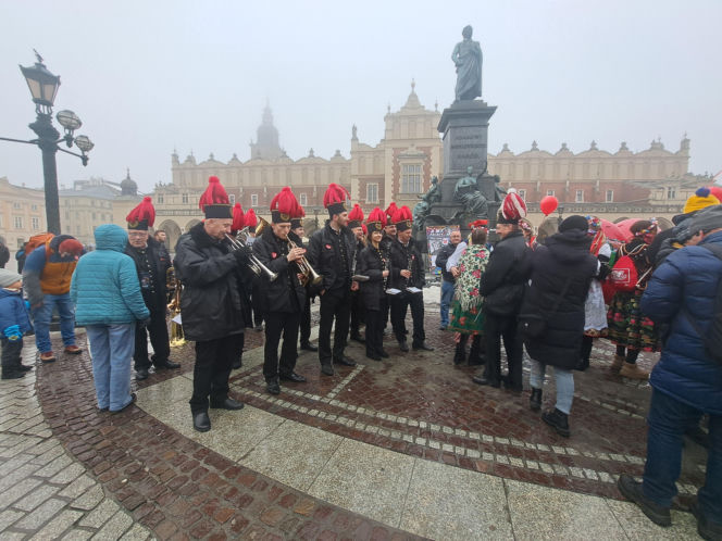 34. finał WOŚP w Krakowie. Golden Retrievery na Rynku Głównym