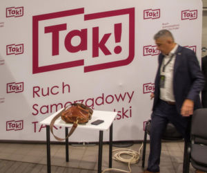 WTO: tuż przed otwarciem Targów.