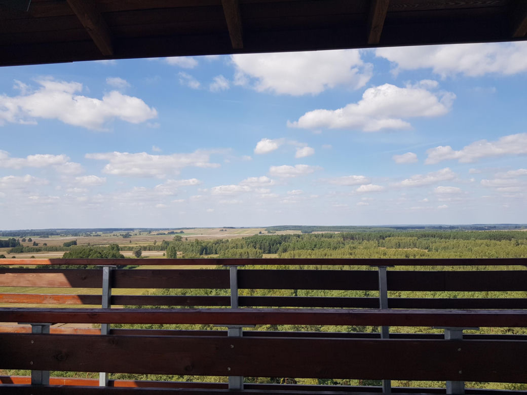 Wieża widokowa w Uhowie. To najwyższa wieża na Podlasiu [ZDJĘCIA]