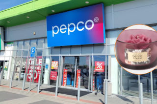 Nowa kolekcja w Pepco podbija serca klientów. Kwiatowe dekoracje kupisz za grosze