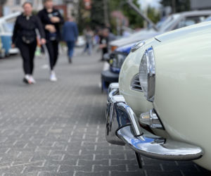 VW FEST 2026