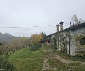 Piadina romagnola - duma regionu Emilia-Romania. Spotkanie z włoską tradycją w wiosce Montetiffi