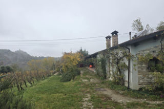 Piadina romagnola - duma regionu Emilia-Romania. Spotkanie z włoską tradycją w wiosce Montetiffi