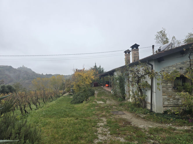 Piadina romagnola - duma regionu Emilia-Romania. Spotkanie z włoską tradycją w wiosce Montetiffi