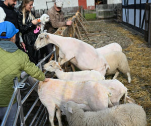 IV Jamneńskie Zakończenie Sezonu Pasterskiego