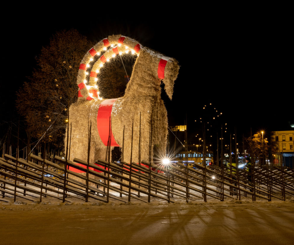 Kozioł w Gavle