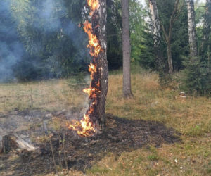 Pożary na Dolnym Śląsku jeden po drugim. Leśnicy pokazali nagranie i apelują!