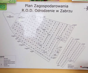 Tak odzyskasz swoją działkę