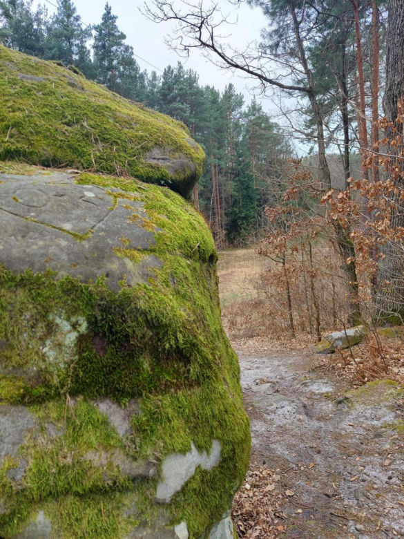 Rezerwat Przyrody "Skały pod Adamowem"