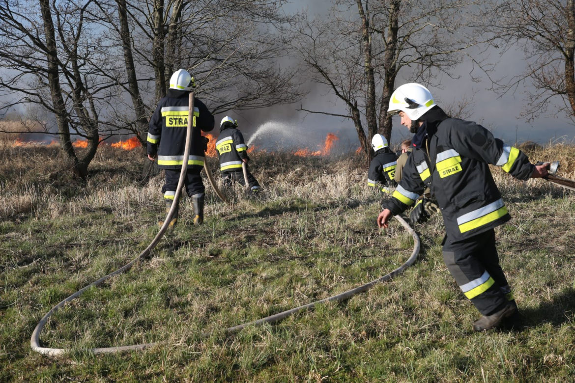 Pożar w Biebrzańskim Parku Narodowym