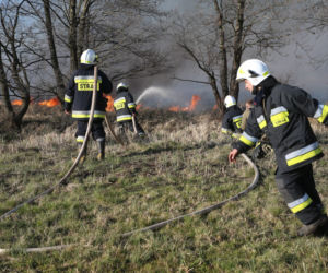 Pożar w Biebrzańskim Parku Narodowym