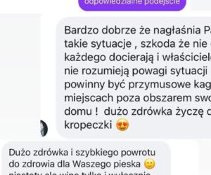 Uwaga! Partnerka Bieniuka walczyła z agresywnym psem! Przerażające zdjęcia