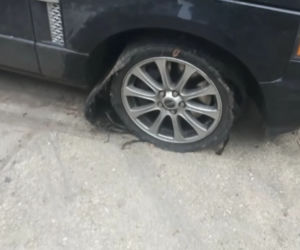 Aresztowany po pościgu transgranicznym